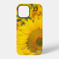 Champ de Tournesols Jaunes Photographie