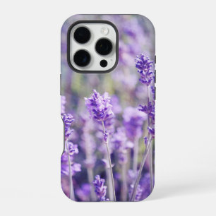 Coque iPhone 16 Pro Champ Lavande violette