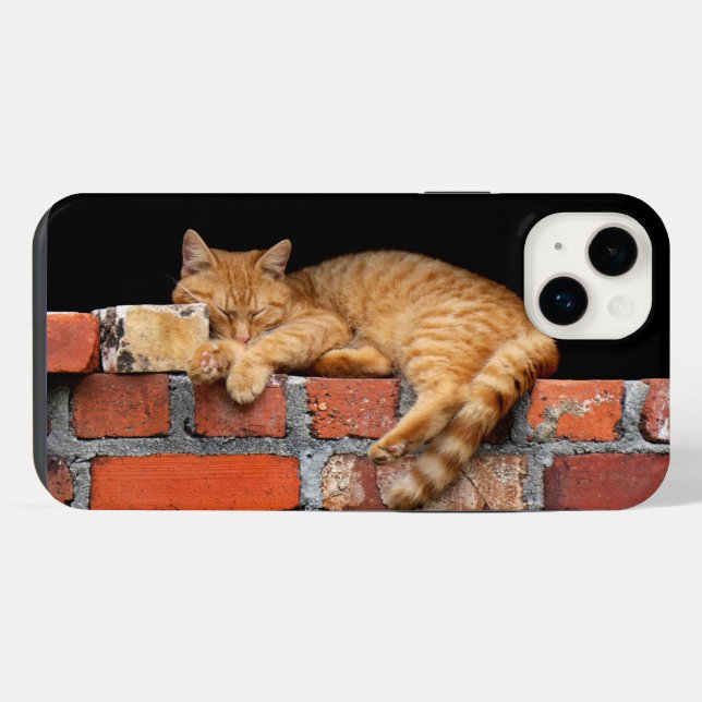 Coque iPhone Chat endormi sur un mur de briques (Verso Horizontal)
