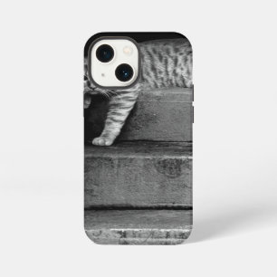 Etui iPhone 13 Mini Chat errant dans l'escalier