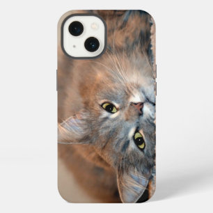 Etui iPhone 13 Chat russe à poils longs par Shirley Taylor