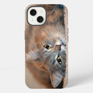 Etui iPhone 13 Chat russe à poils longs par Shirley Taylor