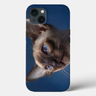 Etui iPhone 13 Chat siamois aux yeux bleus