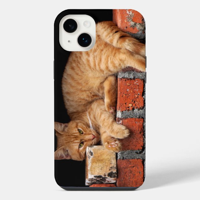 Coque iPhone Chat sur un mur de briques (Verso)