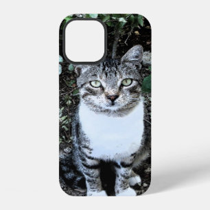 COQUE iPhone 12 CHAT TURC NOIR ET BLANC RONIN