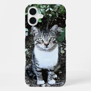 COQUE iPhone 16 PLUS CHAT TURC NOIR ET BLANC RONIN