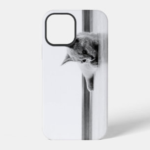 Coque iPhone 12 Chaton Scottish Fold Chat Super Mignon