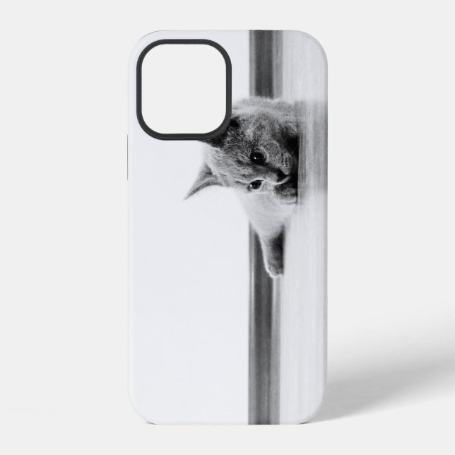 Coque iPhone Chaton Scottish Fold Chat Super Mignon (Verso)