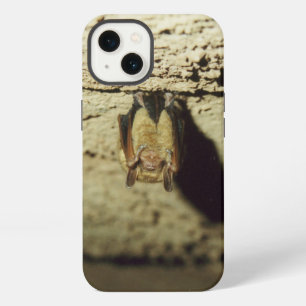 Etui iPhone 13 Chauve-souris