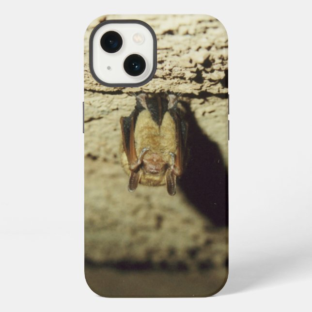 Coque iPhone Chauve-souris (Verso)