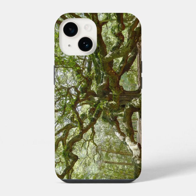 Coque iPhone Chêne Ange Puissant (Verso)