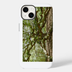 Coque Pour iPhone 14 Chêne d'ange puissant