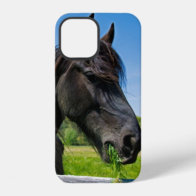 Coque iPhone Cheval friésien noir (Verso)