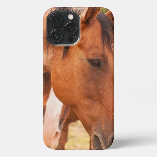 Coque iPhone Cheval Se Cache Derrière Le Cheval (Verso)