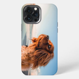 Etui iPhone 13 Pro Max Chien adorable qui fixe avec un fond de ciel bleu
