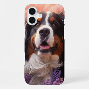Coque iPhone 16 Plus Chien de montagne bernois en lavande