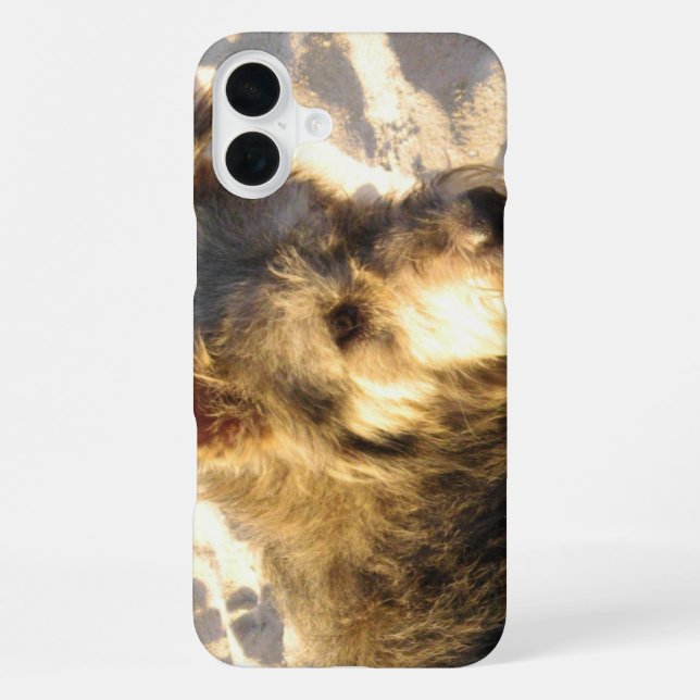 Coque iPhone Chien de plage thaïlandais (Verso)