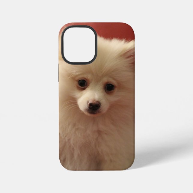 Coque iPhone Chien de Poméranie mignon (Verso)