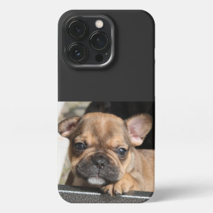 Etui iPhone 13 Pro Chiot Bouledogue Français French Bulldog