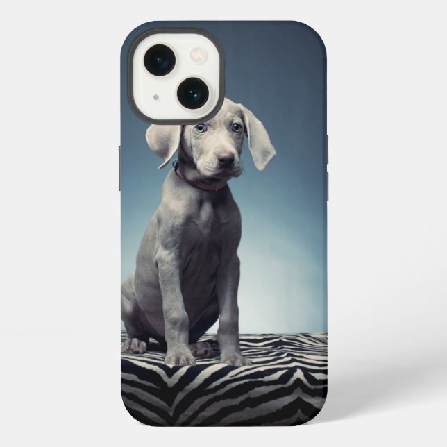 Coque iPhone Chiot de Weimaraner (Verso)