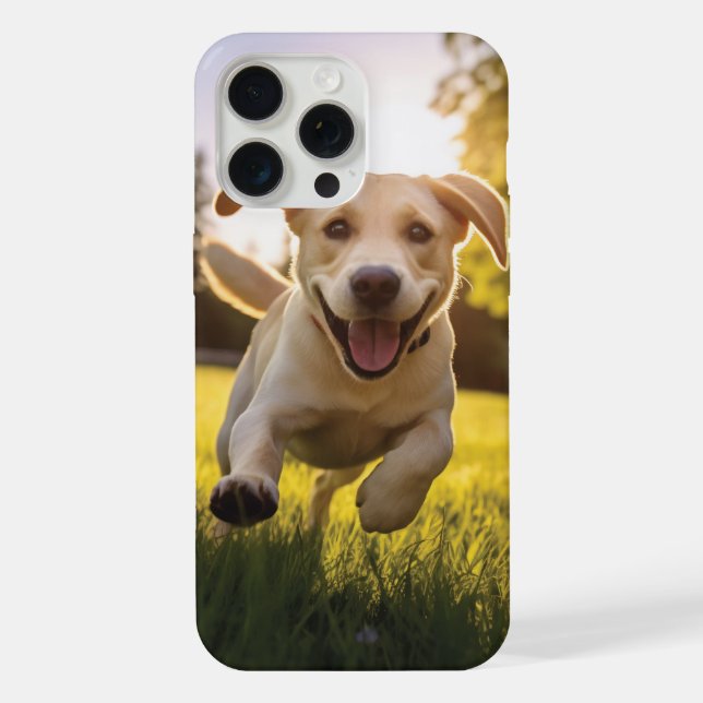 Coque iPhone Chiots Labrador heureux en train de courir  (Verso)