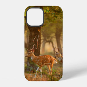 Coque iPhone 12 Chital ou cheetal, Axis axis, cerfs tachetés ou ce