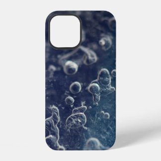 Coque iPhone 12 Choceradská