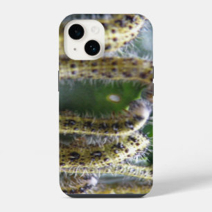 Coque Pour iPhone 14 Chou affamé Canapés blancs