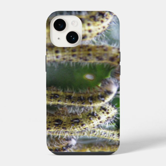 Coque iPhone Chou affamé Canapés blancs (Verso)