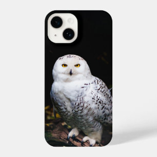Coque Pour iPhone 14 Chouette hivernale majestueuse