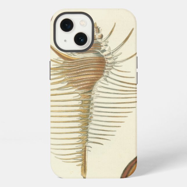 Coque iPhone Cinq d'un coquillage (Verso)