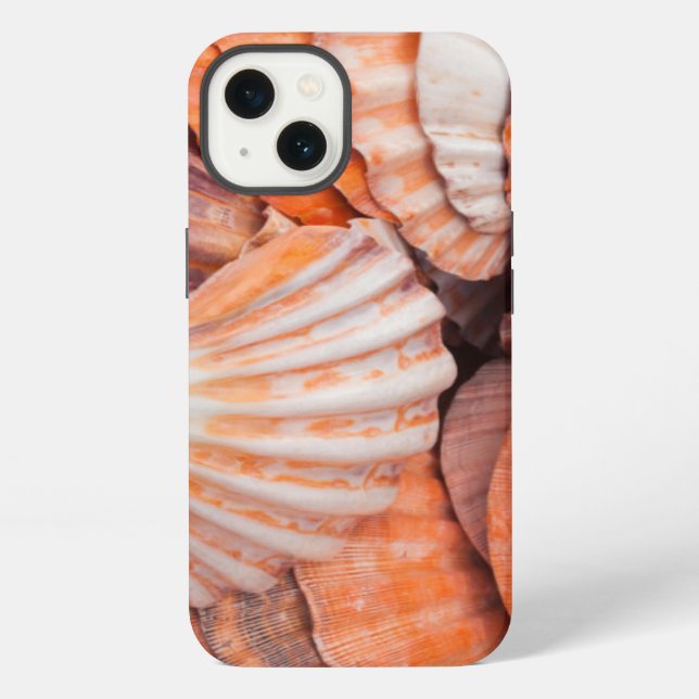 Coque iPhone Clés de Floride, Key West, coquillages (Verso)