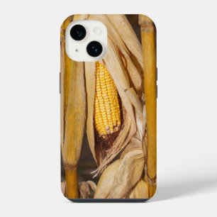 Coque Pour iPhone 14 Cobb De Maïs Sur Stalk