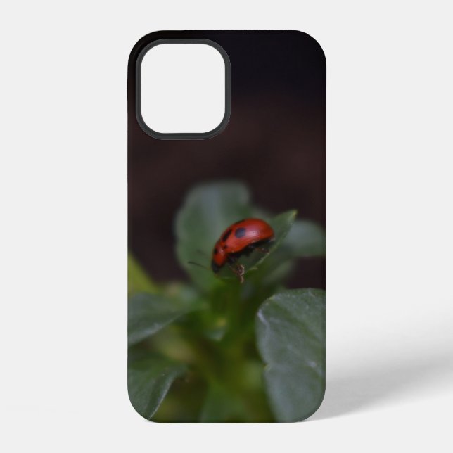 Coque iPhone Coccinelle sur fleurs (Verso)