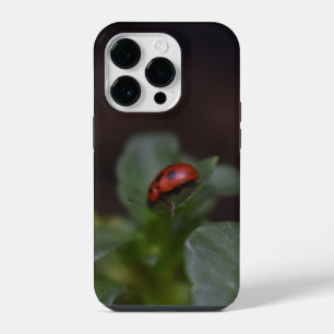 Coque Pour iPhone 14 Plus Coccinelle sur fleurs
