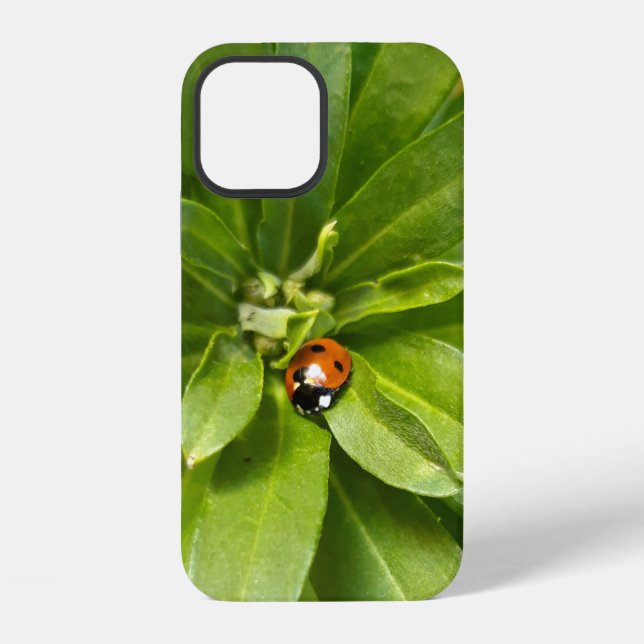 Coque iPhone Coccinelle sur fleurs (Verso)