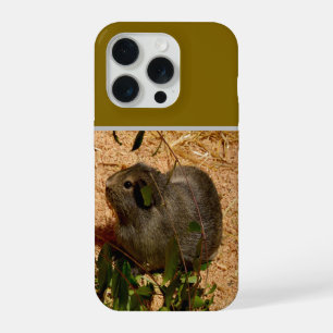 Coque iPhone 15 Pro Cochon d'Inde Brun dans les Feuilles,
