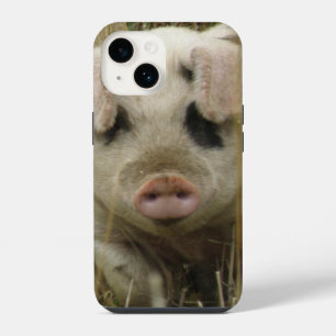 Coque Pour iPhone 14 Cochon Mignon