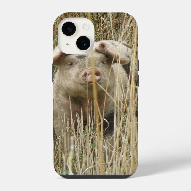 Coque iPhone Cochon Tacheté Mignon (Verso)