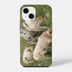 Coque Pour iPhone 14 Cochons dans un champ