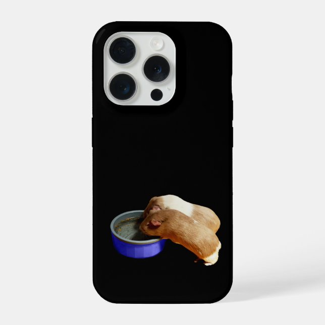 Coque iPhone Cochons d'Inde marrons et blancs,  (Verso)