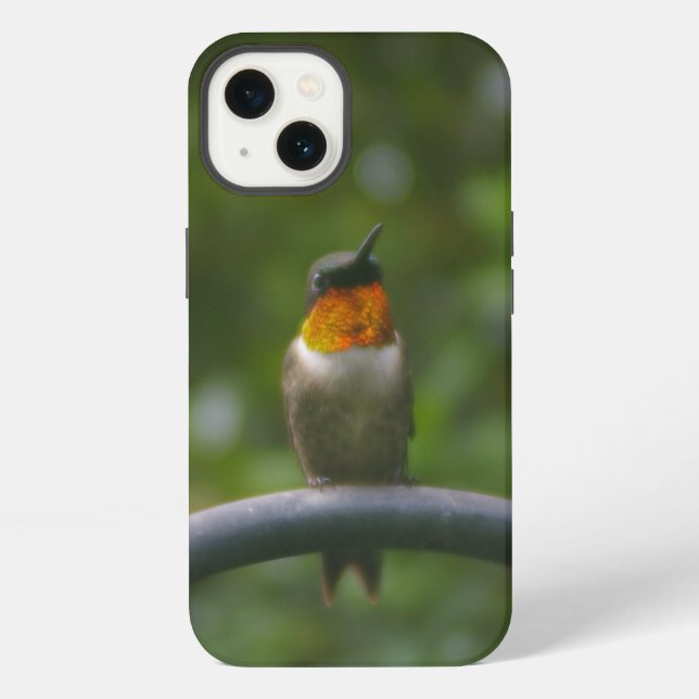Coque iPhone Colibri (Verso)