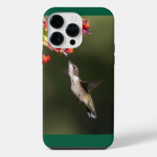 Coque iPhone Colibri à gorge rubis (Verso)