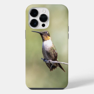 Coque Pour Pour iPhone 14 Pro Max Colibri à gorge rubis