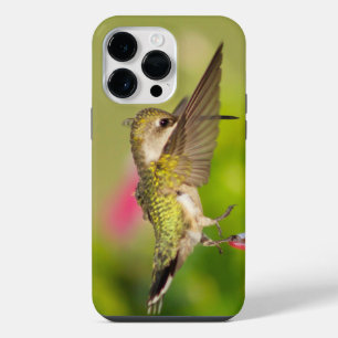 Coque Pour Pour iPhone 14 Pro Max Colibri à gorge rubis