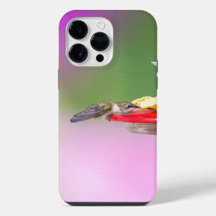 Coque Pour Pour iPhone 14 Pro Max Colibri à gorge rubis