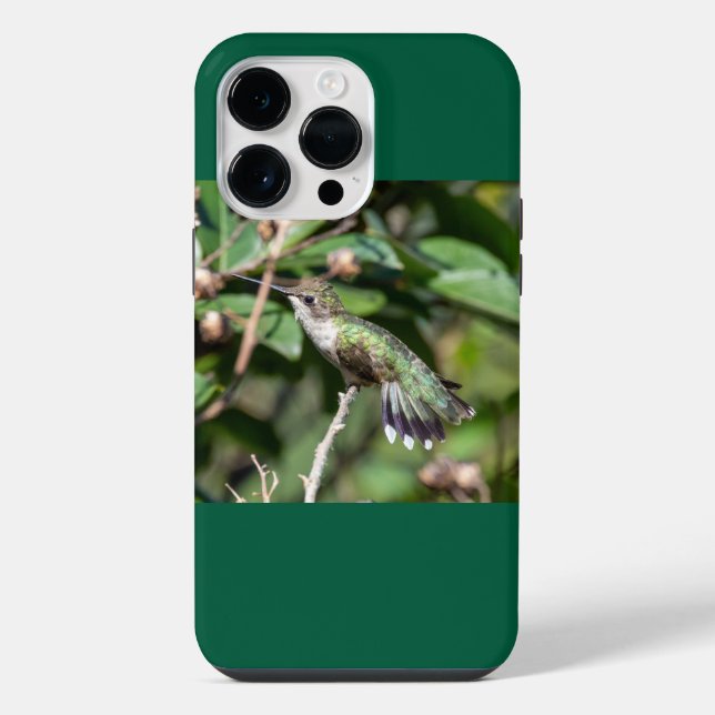 Coque iPhone Colibri à gorge rubis (Verso)