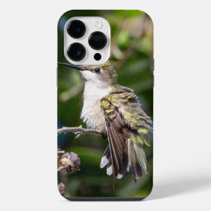 Coque Pour Pour iPhone 14 Pro Max Colibri à gorge rubis