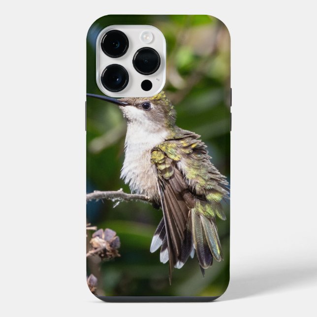 Coque iPhone Colibri à gorge rubis (Verso)