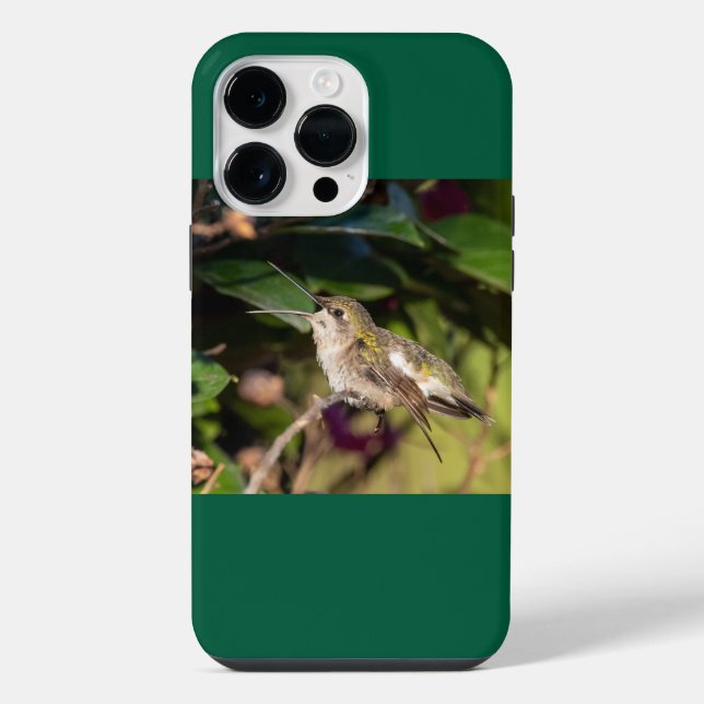 Coque iPhone Colibri à gorge rubis (Verso)